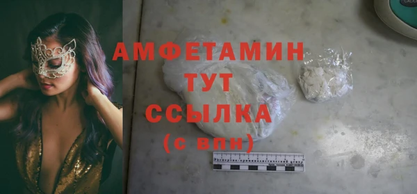 индика Баксан