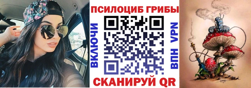 Псилоцибиновые грибы мицелий  купить наркотик  ОМГ ОМГ ССЫЛКА  Няндома 